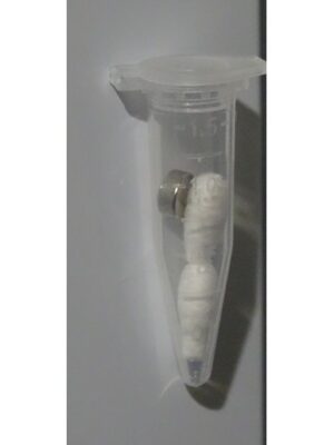 hide en plastique transparent avec un Q-tips et un aimant